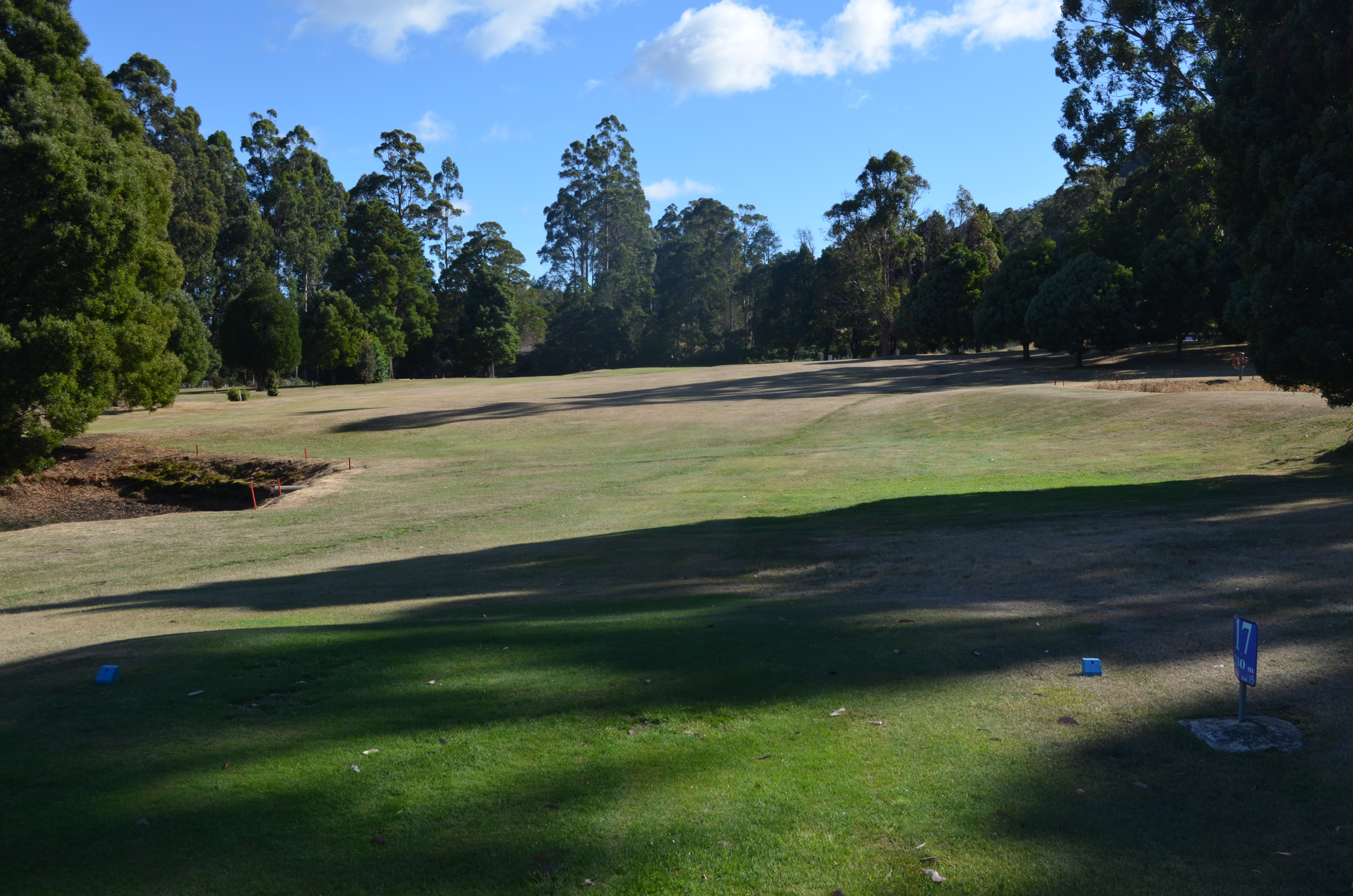 Eighth Tee (Blue)